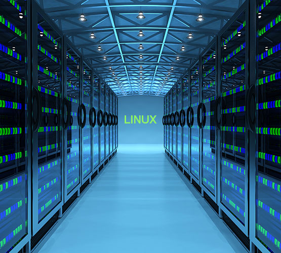What purposes does Linux server