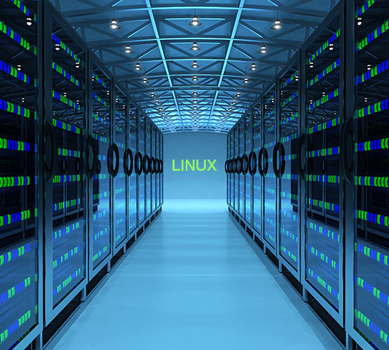 What purposes does Linux serve?