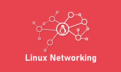 What purposes does Linux server