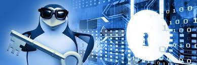 What purposes does Linux server