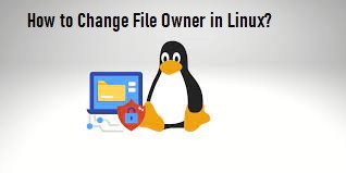 Change File Owner in Linux