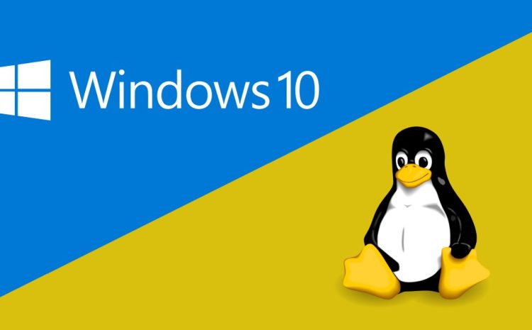Linux sunucusu Windows'tan daha mı iyi?