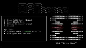 Best way to Install OPNsense Firewall on Linux